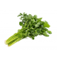1 Bunch of Chinese Celery (about 1-1.5lb)